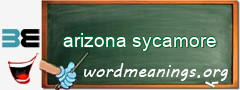 WordMeaning blackboard for arizona sycamore